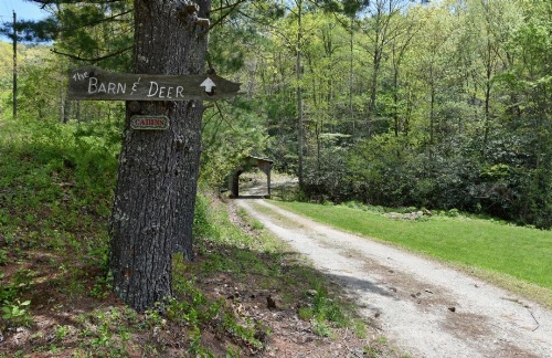 Red Barn Cabin image 18